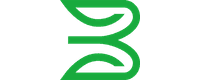 BSP